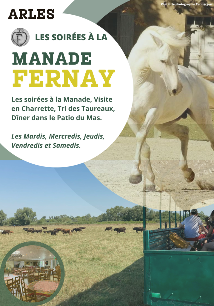Les soirées à la manade Fernay