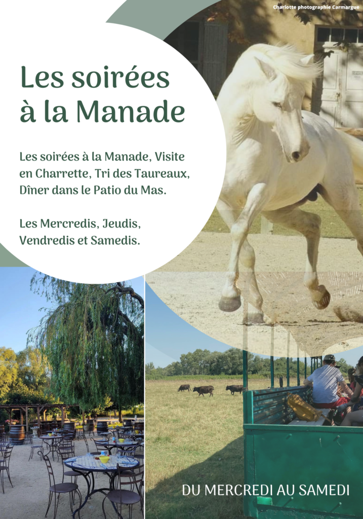 Manade Fernay, visite manade, spectacle équestre,mariage arles
