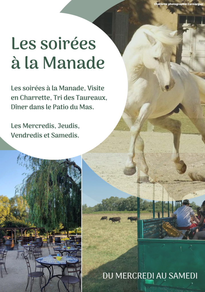 Les soirées à la manade