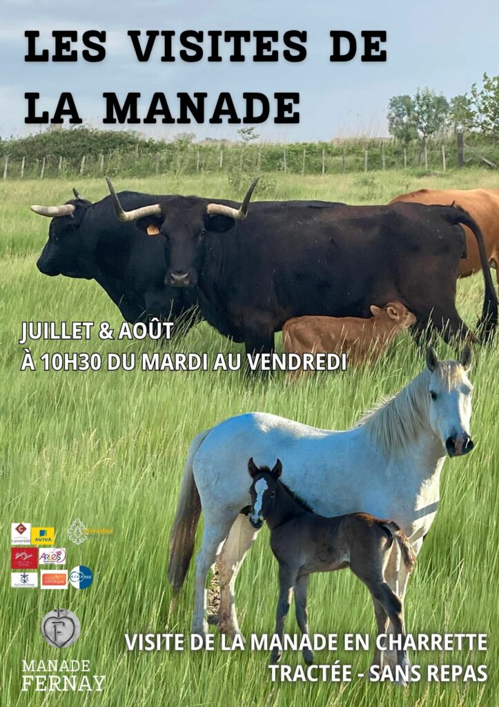 Visite Manade Arles idée sortie Camargue