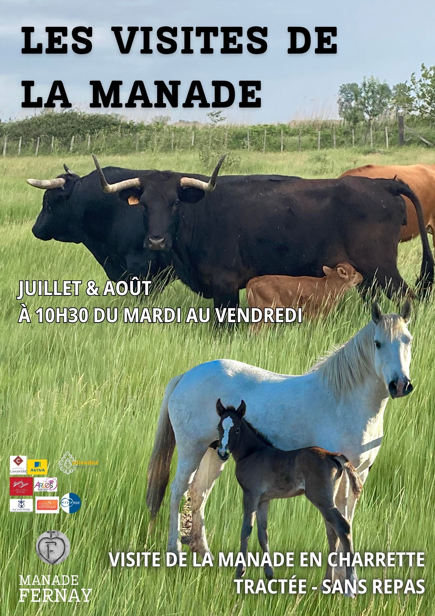 Visite Manade Arles idée sortie Camargue