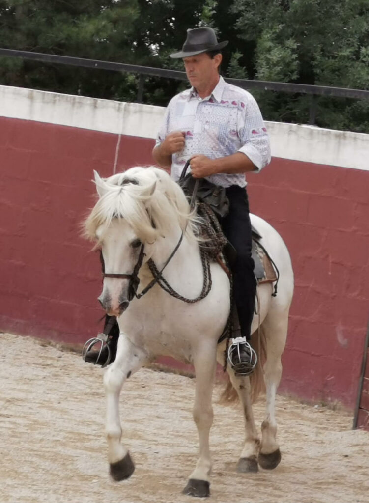 Manade fernay arles camargue
